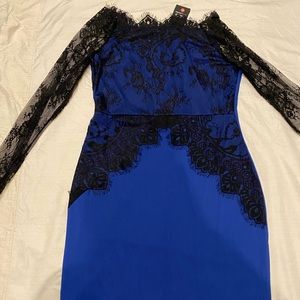 Lace Long Sleeve Silk Plus Size Dress